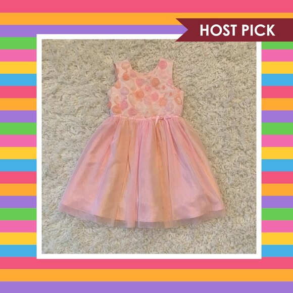 Jona Michelle 3D Rosette Mesh Dress (5T) - Picture 1 of 5